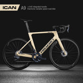 Carbon AERO road bike A9(Shimano 8070)